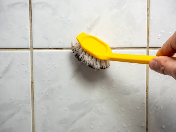 Best Black Mold Removal  in Vernon Hls, IL